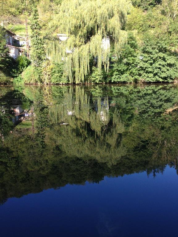 Mon Plaisir - Chambres D'Hotes Villefranche-de-Rouergue Exteriör bild